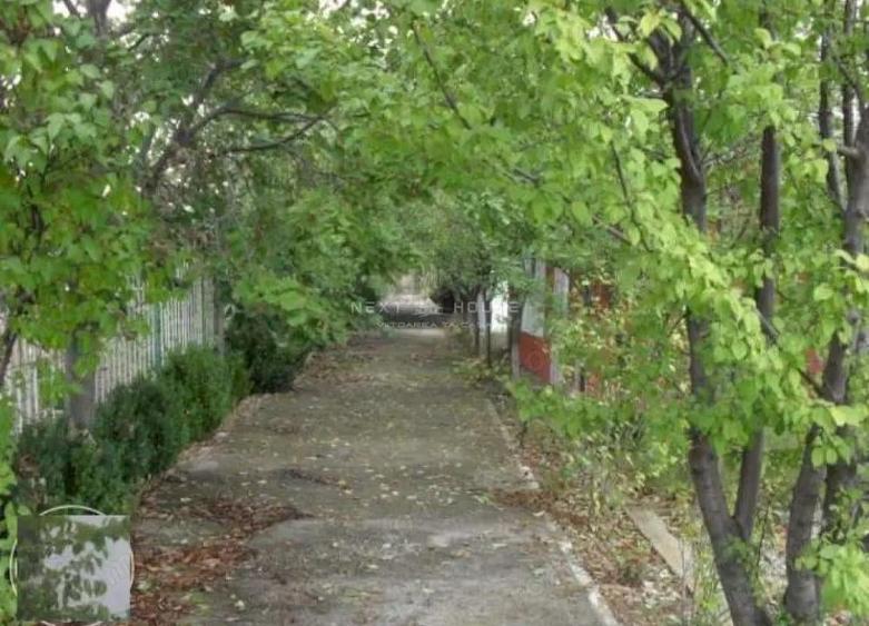 Teren la 35 km de Bucuresti - Izvorani - Ciolpani - 4