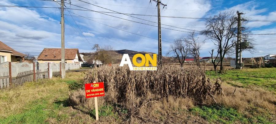 De vanzare 1929mp teren intravilan cu utilitati, Sard - 1