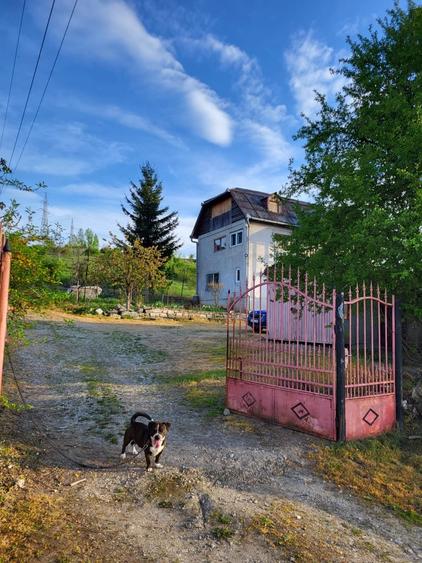 Teren Intravilan de Vânzare în Cartierul Mănăștur – Oportunitate Ideală pentru D - 5