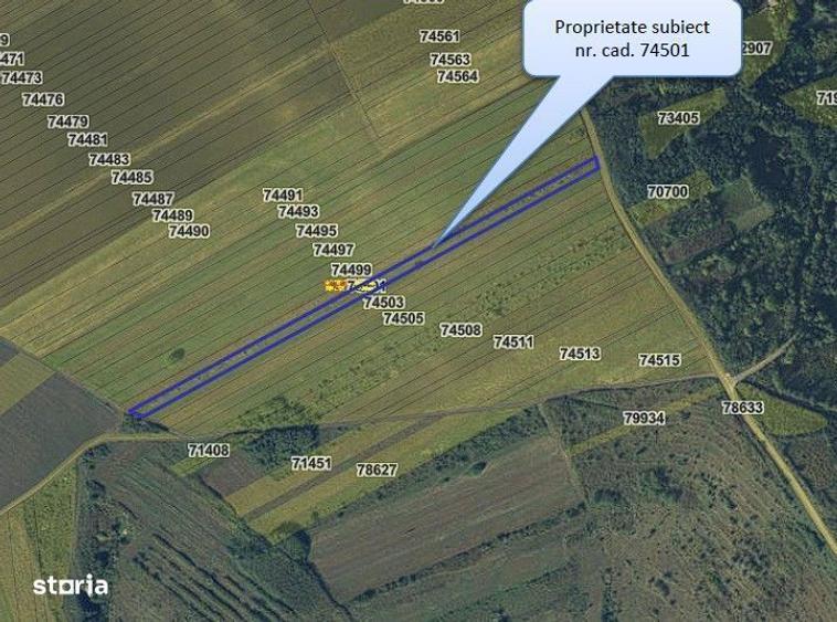 4 terenuri extravilane Muntenii de Jos, cota parte 1/2 ; ID: R2922169 - 6