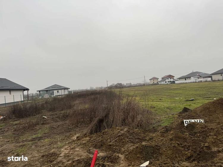 Teren 1250m de vanzare Ilfov - 6