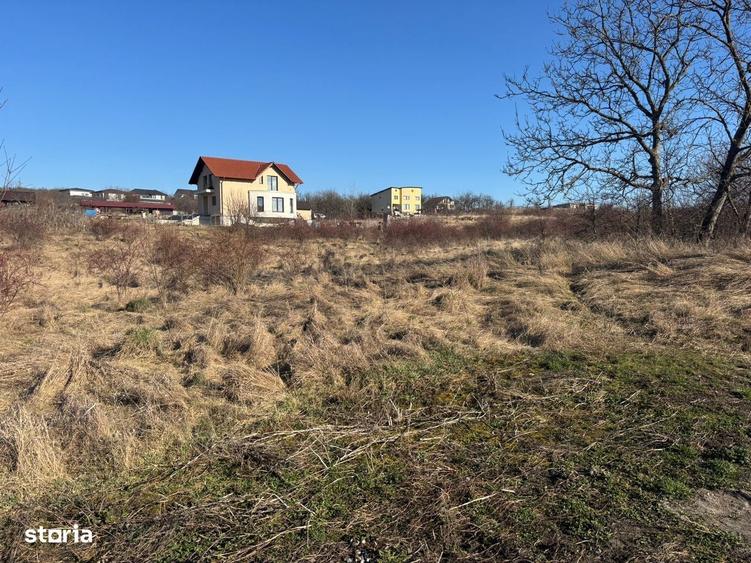 Teren intravilan Pomet - 4