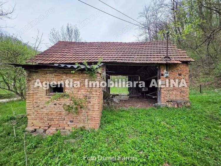 Teren intravilan 1.700 mp + 6.600 mp Padure de foioase + 1.200 mp Padure de foioase, Sat Nojag. - 5