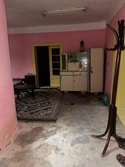 🏞️Casa langa Ineu, judetul Arad ! - 5