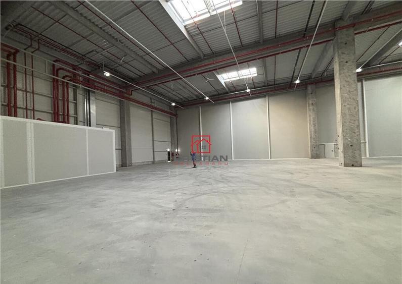 Depozit/hala/spatiu industrial Theodor Pallady - A2 - 9