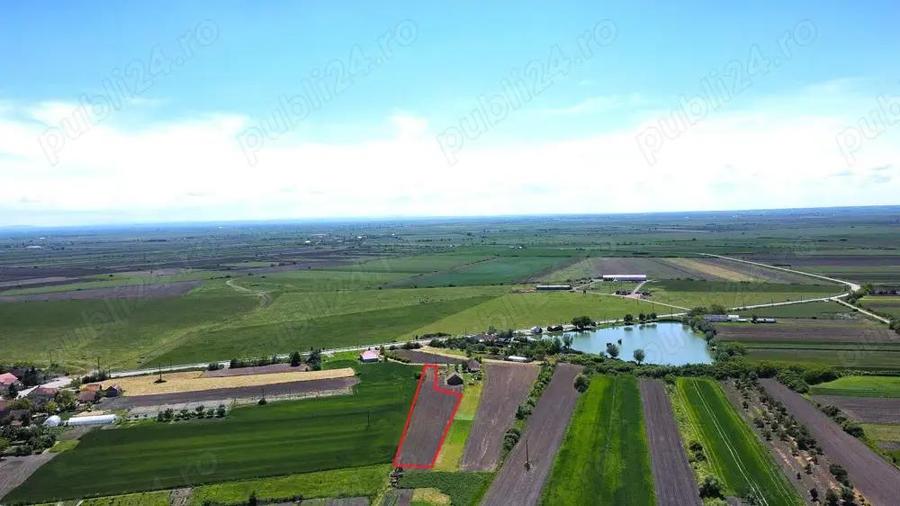 Teren intravilan 2.500 mp in Boghis | Ideal pentru casa sau pensiune | langa balta de pescuit - 6