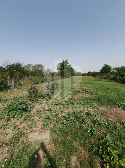 Samurcasi, str. Guliei, casa parter cu teren - 2431 mp - 6