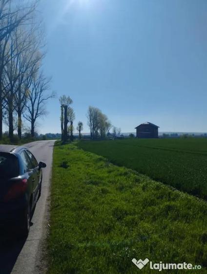 Vand teren intravilan 4000MP cu dechidere la Delta Neajlovu - 6
