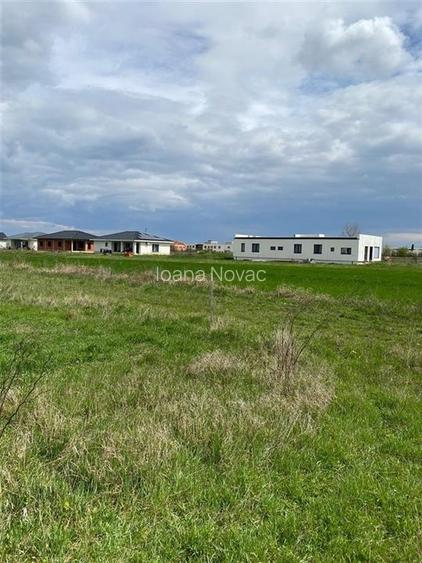 RECO Teren intravilan in  Cihei 500mp