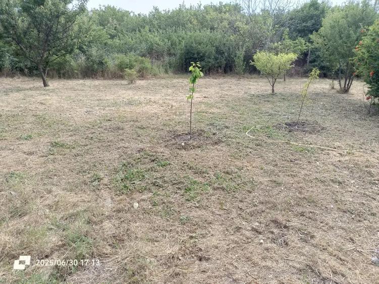 Casa de vanzare in Tuzla - 7