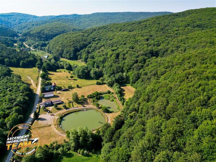 FILM! Teren extravilan pe 2.737mp,zona pretioasa,acces facil,Dobarlau,Covasna - 10