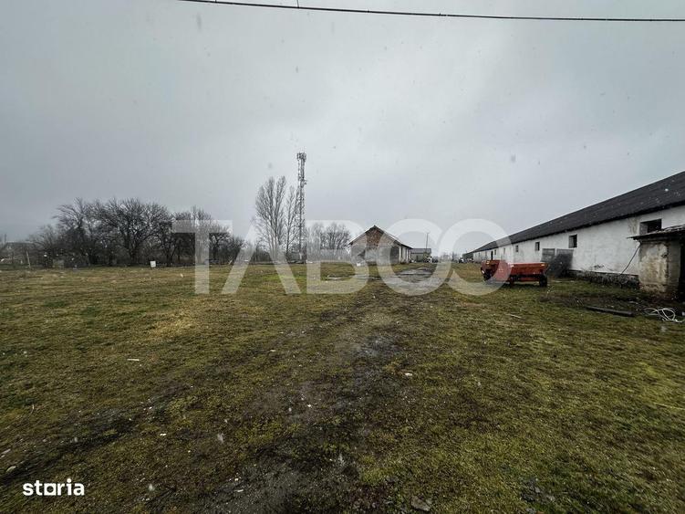 Teren de vanzare 8380 mp cu anexa de 1538 mp in Mohu - 1