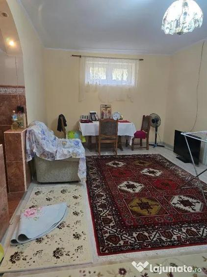 Casa plus anexa parter, Tamaseu central, gaz, sosea , ter 3040 mp - 3
