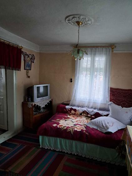 Vand teren + casa batraneasca, Loc. Romanu, jud. Braila - 7