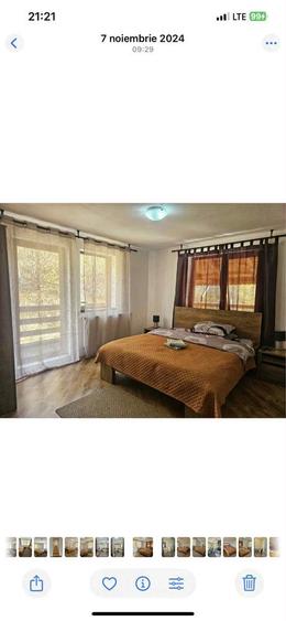 Cabana de inchiriat // - 6