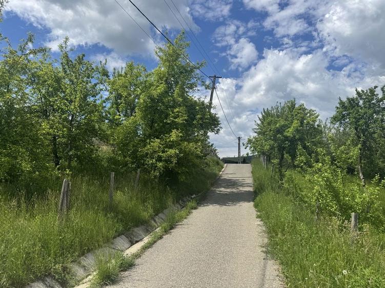 Teren intravilan la asfalt - 1