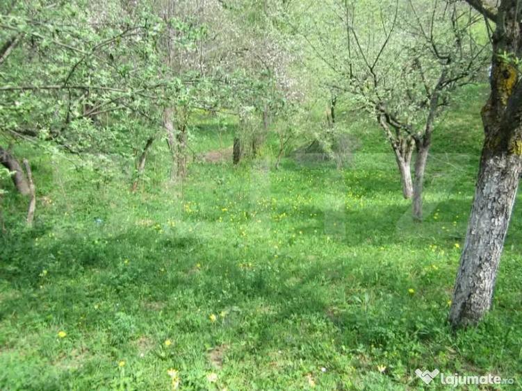 Teren de vanzare, 884 mp, zona Runcu - 1