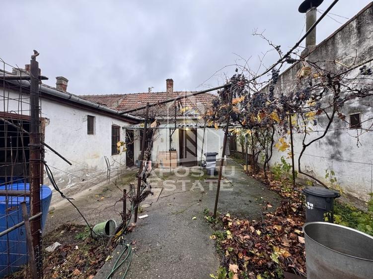 Casa cu anexe + Teren de 539mp | Zona Fratelia - 3