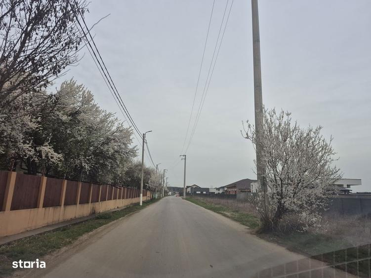 Lot Balotesti,electricitate,gaz,canalizare,apa curenta la teren - 5
