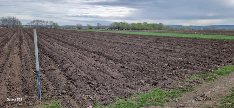 Teren extravilan - 5