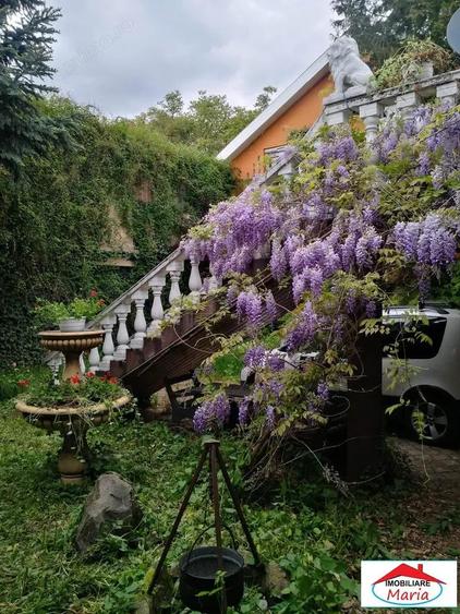 Casa solida cu teren 719 mp in Piata Titulescu - 6
