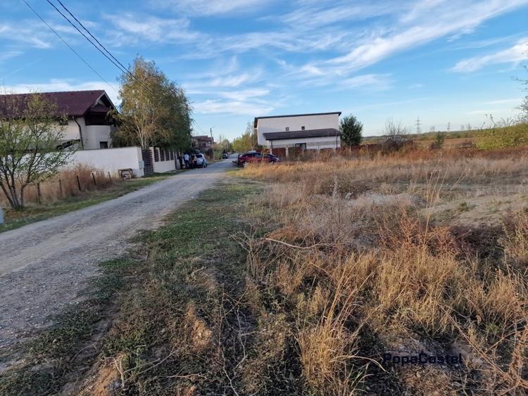 OCAZIE! Balotesti - Narciselor teren intravilan 427 mp desch. 20 m, utilitati - 3