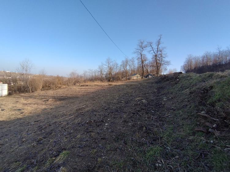 Vand teren intravilan Botosani - 5