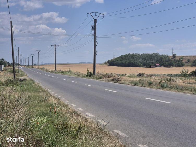 Teren intravilan de vanzare- 7300 mp, in Vintu de jos - 2