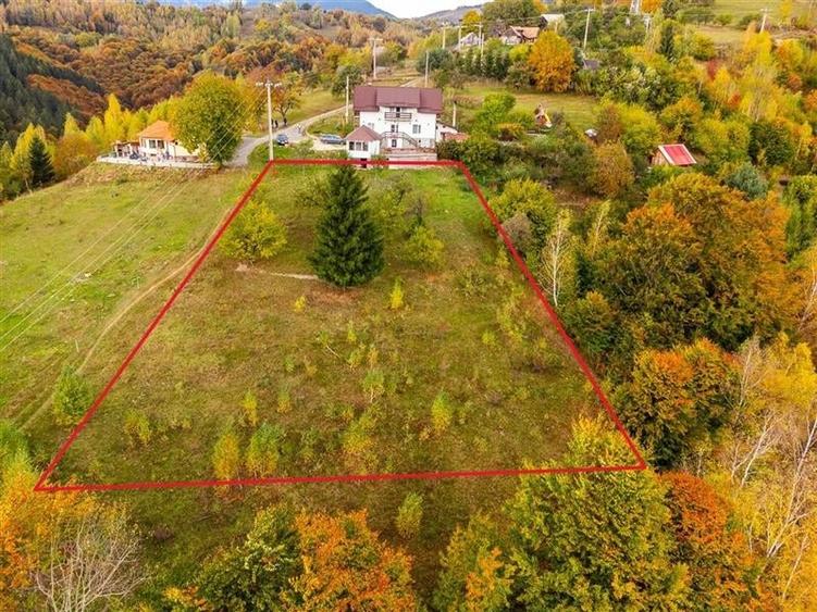 Film! Teren in peisaj mirific, Parcul Natural Piatra Craiului, Moieciu, Magura, - 1