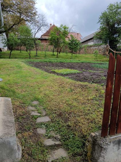 casa familiala cu curte si gradina - 4