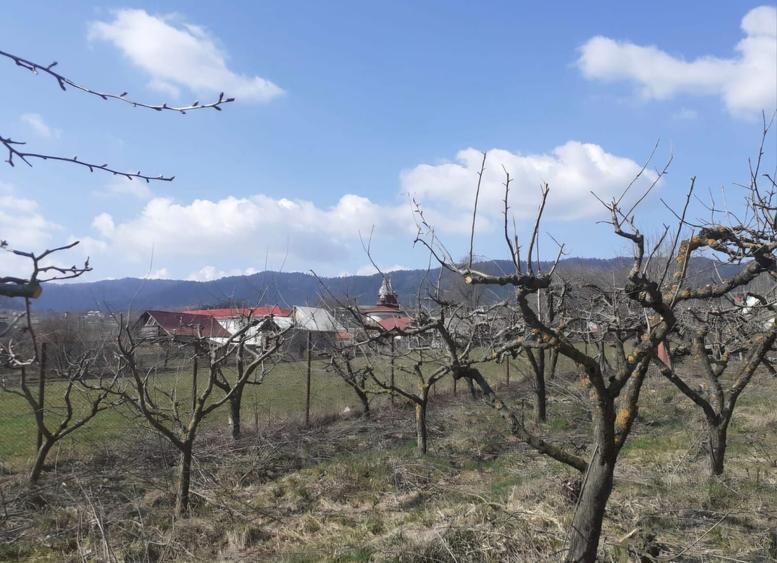 Vand teren constructii+livada in Filioara jud NT 13Eur/mp - 7