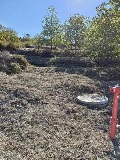 Teren intravilan 810 mp - Gheorge Doja, Oradea - 2