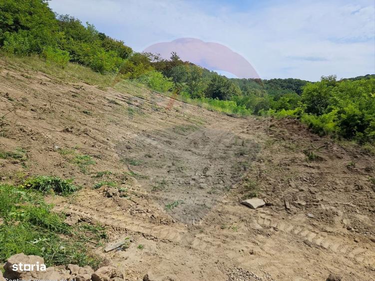 Teren intravilan pentru casa din doua parcele a cate 800mp fiecare - 2