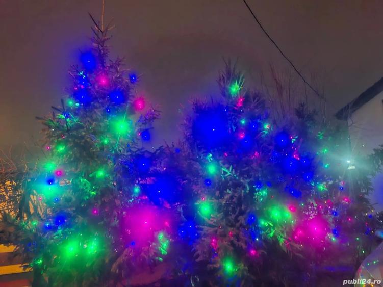 Casa aproape de Promenada Mall Brestei str Buzaului! - 5