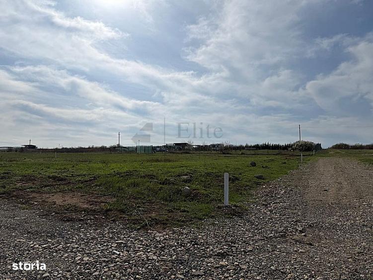 Teren intravilan 700 mp de vanzare in Paleu - 7