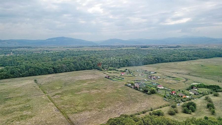 Teren Extravilan - 17