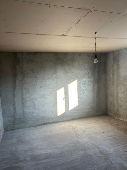 Casa BCA+gradina,vie,fantana, gard nou suprafata totala 1723m 17500 - 8