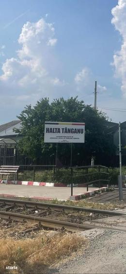 Vanzare teren intravilan Cernica_Tanganu, lot 954mp - 10