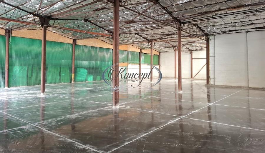 Hala ideala pentru productie sau logistica, pe Calea Baciului - 8