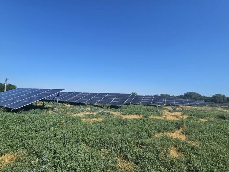 Proprietate agroindustriala, hala 1590 mp, teren 28000 mp, panouri 398 kWp - 5