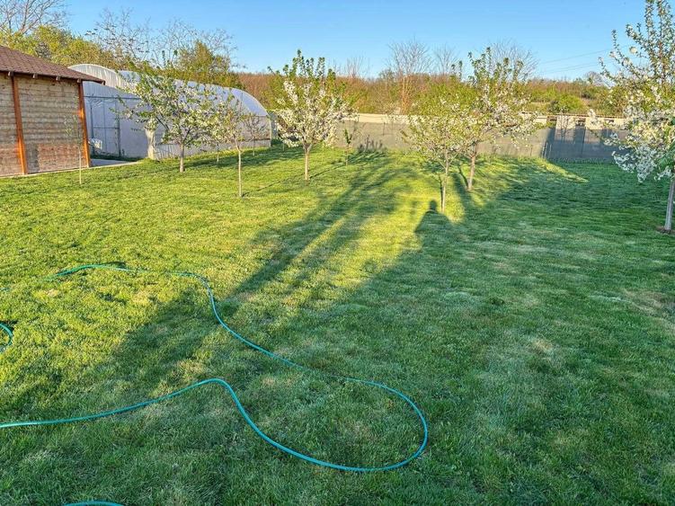 Casa + Teren Brebeni - 8000 metri patrati - 10 minute de Slatina - 8