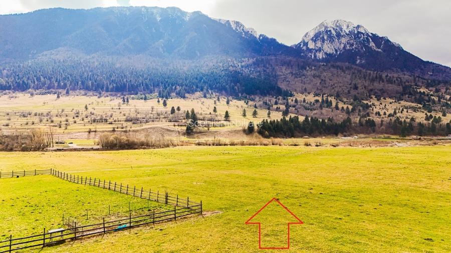 Zarnesti, str. Barsei, intravilan, priveliste Piatra Craiului, PUZ aprobat Zarnesti, str. Barsei, intravilan, priveliste Piatra Craiului, PUZ aprobat