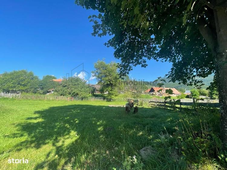 Teren Moieciu de Jos - 10