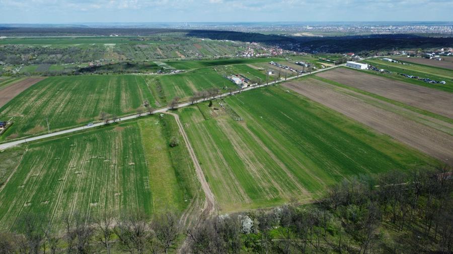 Teren Intravilan langa padure - zona linistita, perfect pentru casa! - 2