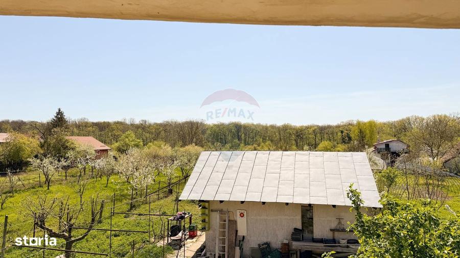 2 CASE + TEREN GENEROS 1592 MP | Langa Codrii Vlasiei | Peris - 13