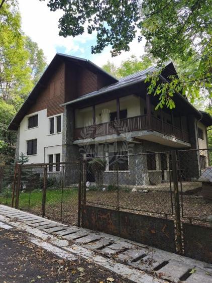 CASA DE VACANTA//CORNU DE JOS - 2