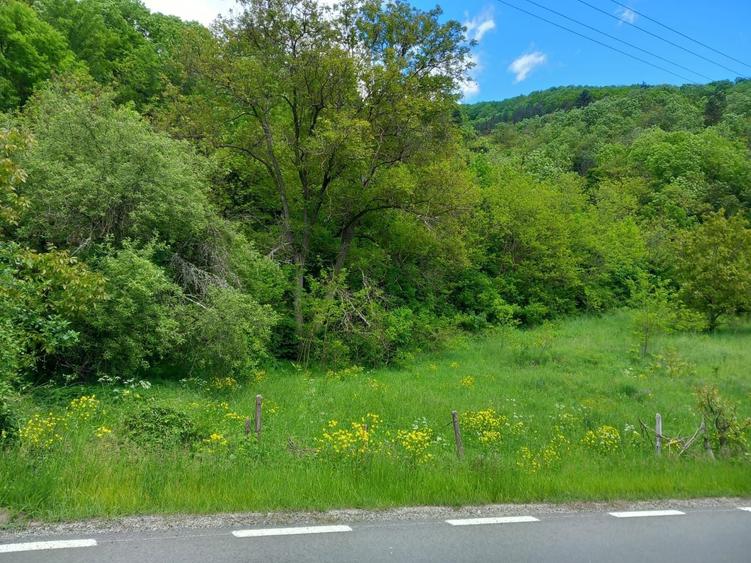 Vand Teren Intravilan Cluj com.Iara sat.Lungesti - 3