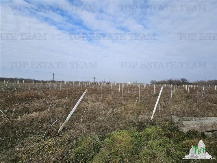 Teren intravilan Harsova - 4