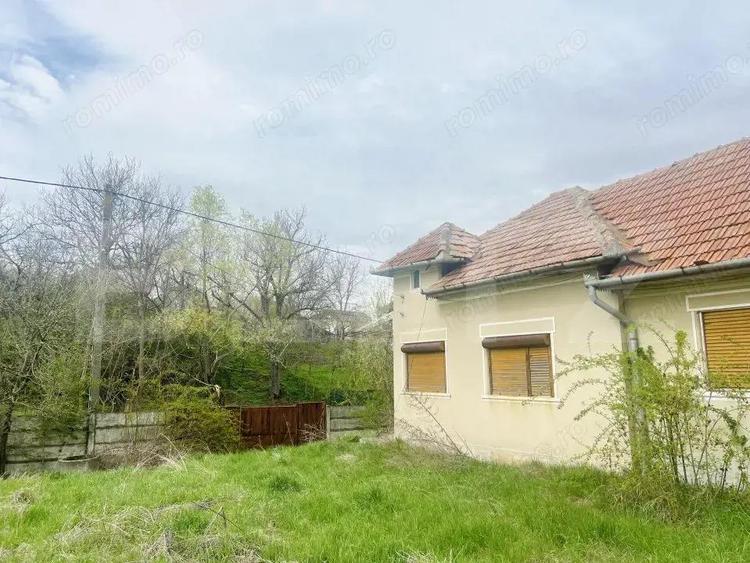 Casa de Vanzare, 4139 mp, Hapria, Ciugud Ideala ca Locuin?a sau Proiect Rural - 8
