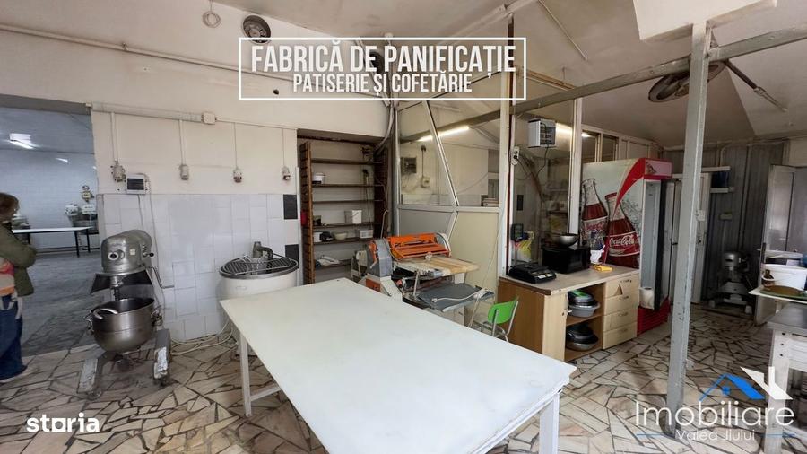 Fabrica produse panifica?ie / patiserie / cofetarie Petrila - 10
